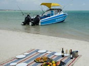Dugong, beach, boat, sea, picknick